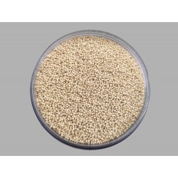 Rajgeera Seeds
